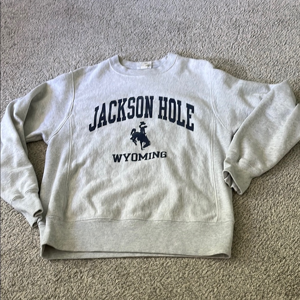 Champion Gray Crewneck Sweater with Ribbed Cuffs